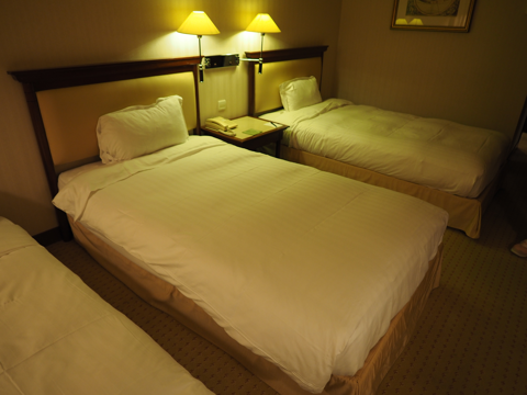 Evergreen Laurel Hotel (パリ) の体験記と写真:画像12