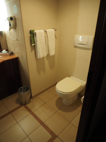 Evergreen Laurel Hotel (パリ) の体験記と写真:画像8
