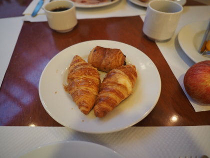 Evergreen Laurel Hotel (パリ) の体験記と写真:画像23
