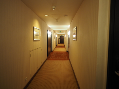 Evergreen Laurel Hotel (パリ) の体験記と写真:画像5