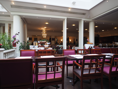 Evergreen Laurel Hotel (パリ) の体験記と写真:画像16