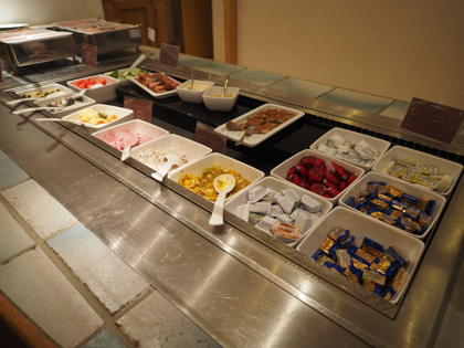 Sheraton Frankfurt Congress Hotel (シェラトン フランクフルト コングレスホテル) の体験記と写真:画像13