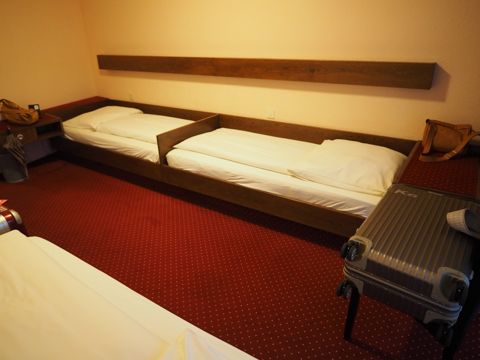 EuroParkHotel International (ユーロパークホテル・インターナショナル) - フュッセン の体験記と写真:画像10
