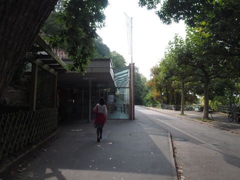 ハイデルベルク旧市街の体験記と写真:画像1