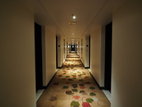 フォーポインツバイシェラトン・アグラ (Four Points by Sheraton Agra) の体験記と写真:画像10