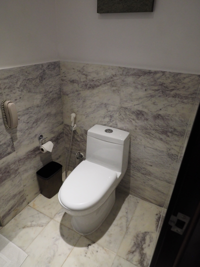 フォーポインツバイシェラトン・アグラ (Four Points by Sheraton Agra) の体験記と写真:画像15