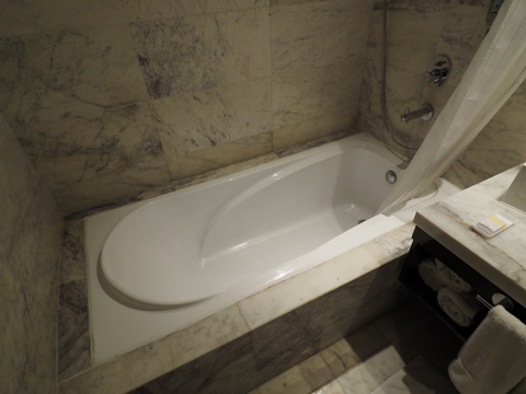 フォーポインツバイシェラトン・アグラ (Four Points by Sheraton Agra) の体験記と写真:画像18