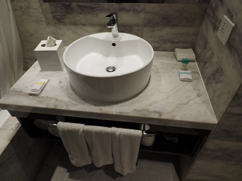 フォーポインツバイシェラトン・アグラ (Four Points by Sheraton Agra) の体験記と写真:画像17