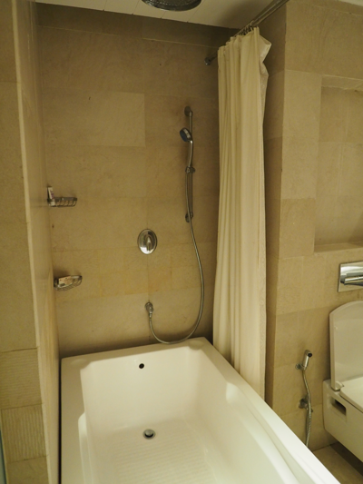 Welcome Hotel Dwarka, New Delhi の体験記と写真:画像9
