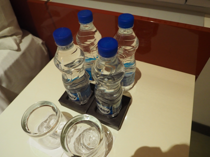 Welcome Hotel Dwarka, New Delhi の体験記と写真:画像11