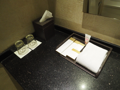 Welcome Hotel Dwarka, New Delhi の体験記と写真:画像7