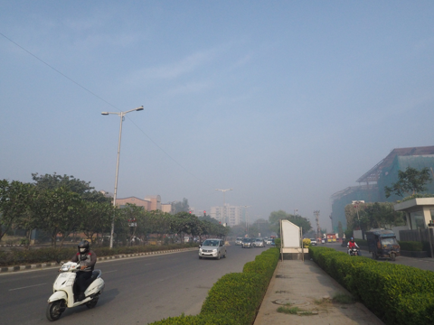 Welcome Hotel Dwarka, New Delhi の体験記と写真:画像40