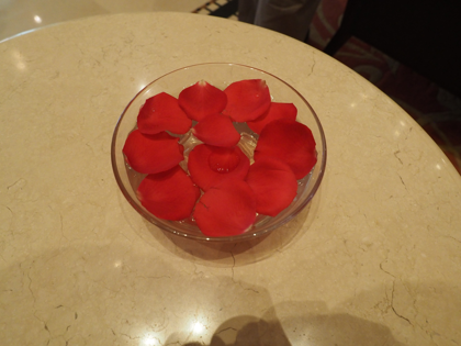 ラディソン ホテル バラナシ (Radisson Varanasi) の体験記と写真:画像9
