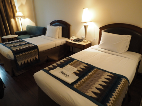 ラディソン ホテル バラナシ (Radisson Varanasi) の体験記と写真:画像22