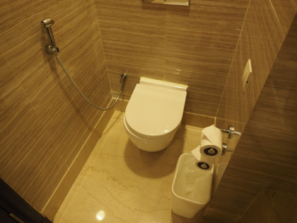 ラディソン ホテル バラナシ (Radisson Varanasi) の体験記と写真:画像18