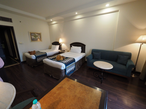 ラディソン ホテル バラナシ (Radisson Varanasi) の体験記と写真:画像19