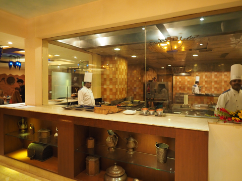 ラディソン ホテル バラナシ (Radisson Varanasi) の体験記と写真:画像59