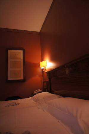 Una Hotel Scandinavia (ウナ ホテル スカンジナビア) の体験記と写真:画像7