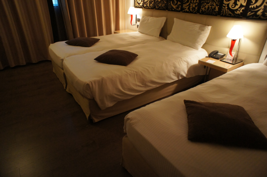 Antony Palace Hotel (アントニー・パレス・ホテル) の体験記と写真:画像4