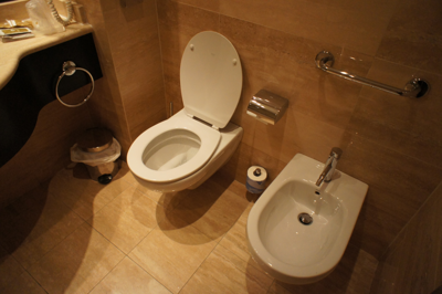Antony Palace Hotel (アントニー・パレス・ホテル) の体験記と写真:画像5