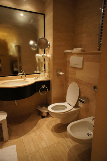 Antony Palace Hotel (アントニー・パレス・ホテル) の体験記と写真:画像7