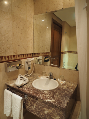 Hotel Prince de Paris (ホテル プリンス ド パリ) の体験記と写真:画像14