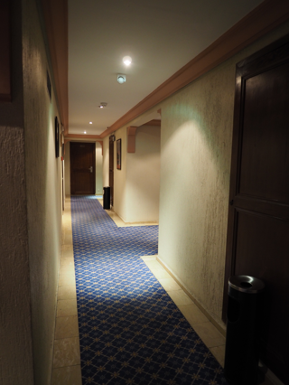 Hotel Prince de Paris (ホテル プリンス ド パリ) の体験記と写真:画像8