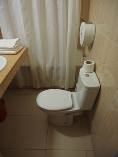Riad Salam Hotel (リアド サラム) - ワルザザード の体験記と写真:画像6