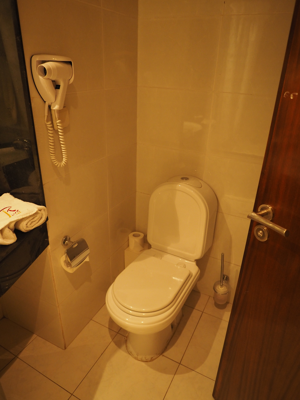Rive Hotel (モロッコ ラバト) の体験記と写真:画像8