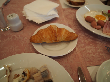 Hotel Borodino の体験記と写真:画像27