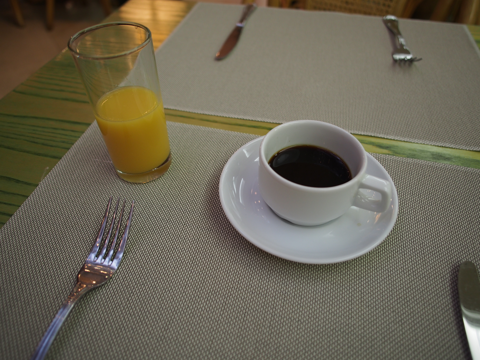 Iris Congress Hotel (Ирис Конгресс Отель) の体験記と写真:画像22