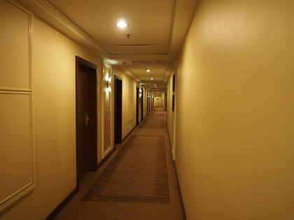 コリンシア サンクトペテルブルグ (Corinthia Hotel St Petersburg) の体験記と写真:画像14