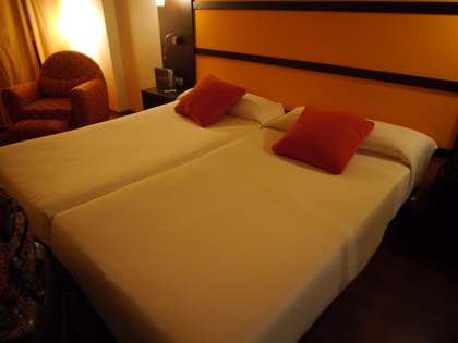 Abades Nevada Palace Hotel の体験記と写真:画像10