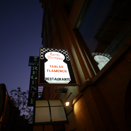 Torres Bermejas (Tablao Flamenco Restaurante) の体験記と写真:画像3