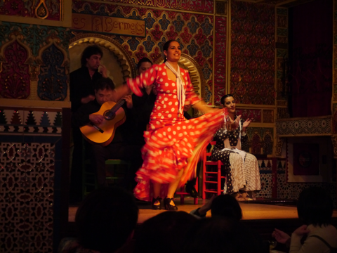 Torres Bermejas (Tablao Flamenco Restaurante) の体験記と写真:画像11