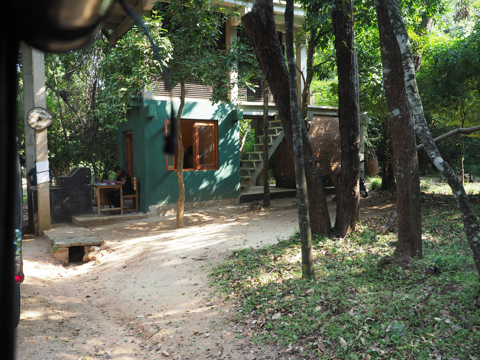 Minneriya National Park (ミンネリア国立公園 エレファントサファリ) の体験記と写真:画像6