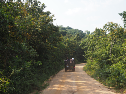 Minneriya National Park (ミンネリア国立公園 エレファントサファリ) の体験記と写真:画像10