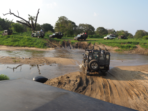 Minneriya National Park (ミンネリア国立公園 エレファントサファリ) の体験記と写真:画像28