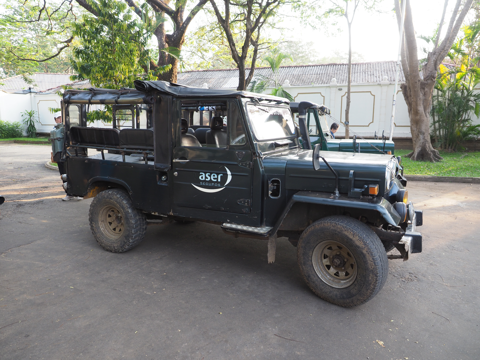 Minneriya National Park (ミンネリア国立公園 エレファントサファリ) の体験記と写真:画像36