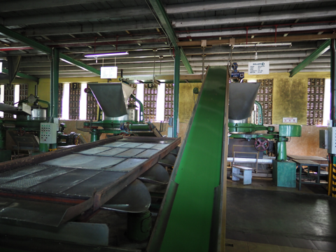 Glenloch Tea Factory の体験記と写真:画像17