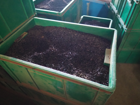 Glenloch Tea Factory の体験記と写真:画像22