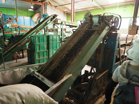 Glenloch Tea Factory の体験記と写真:画像23