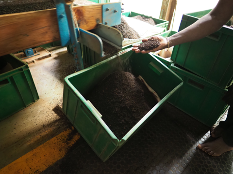 Glenloch Tea Factory の体験記と写真:画像24