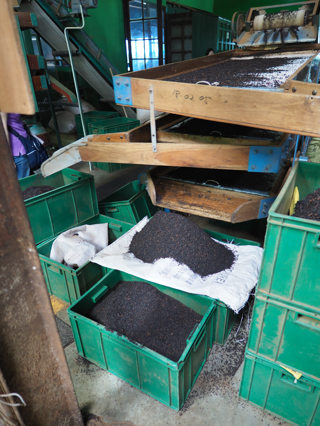 Glenloch Tea Factory の体験記と写真:画像25