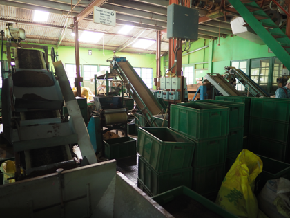 Glenloch Tea Factory の体験記と写真:画像20