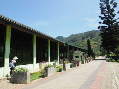 Glenloch Tea Factory の体験記と写真:画像31