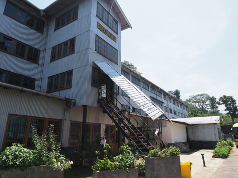 Glenloch Tea Factory の体験記と写真:画像32