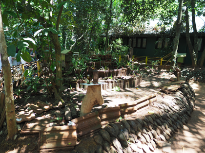 Regent spice garden の体験記と写真:画像17