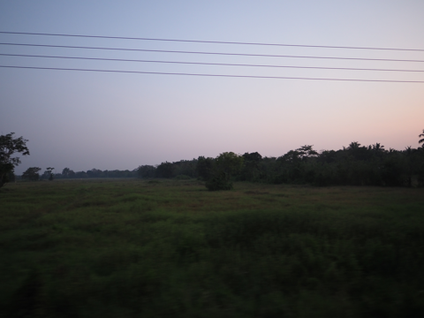 シギリヤ ヴィレッジ ホテル (Sigiriya Village Hotel) の体験記と写真:画像1