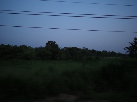 シギリヤ ヴィレッジ ホテル (Sigiriya Village Hotel) の体験記と写真:画像2